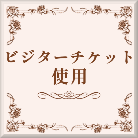 ビジターチケット使用ボタン